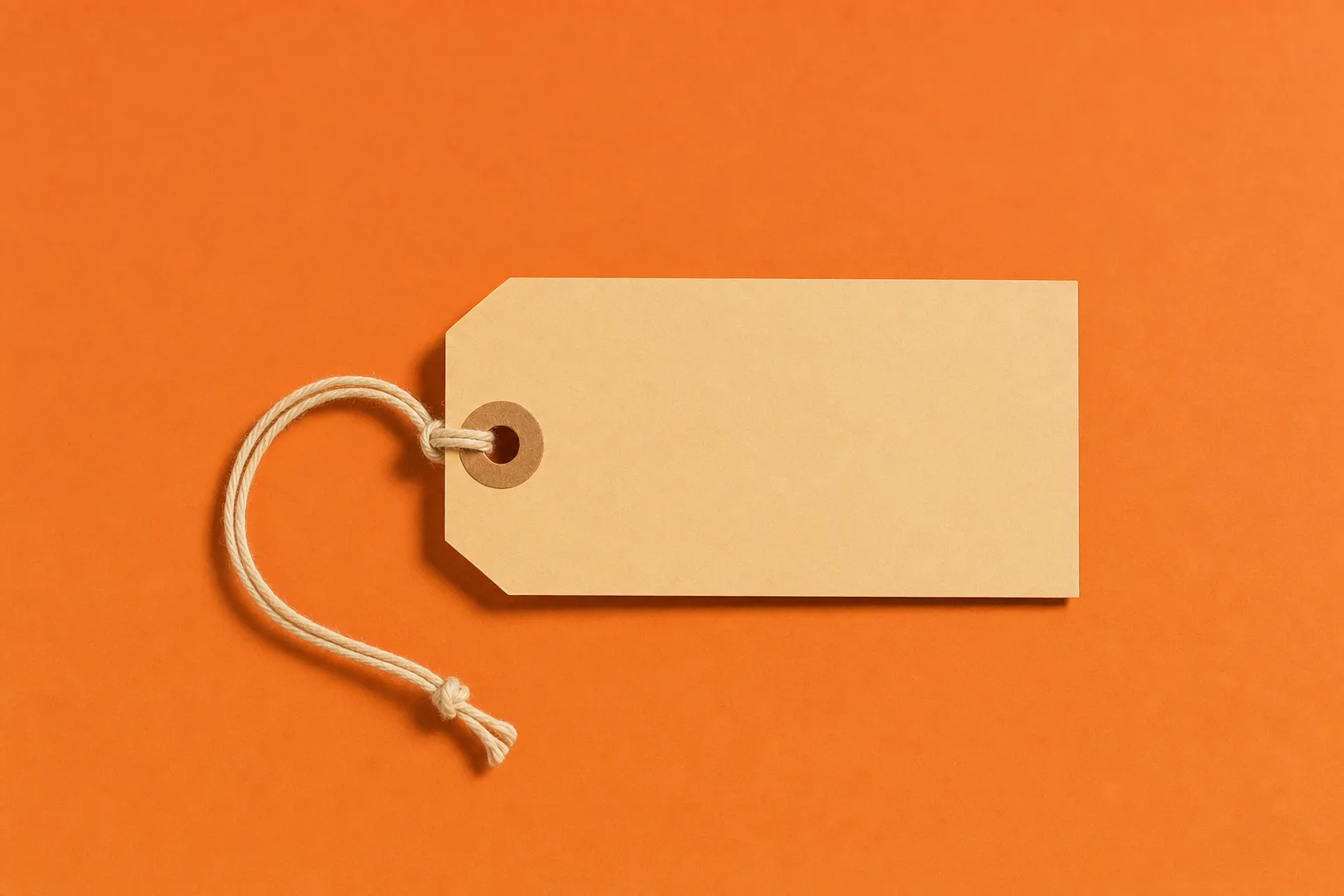 A blank manila swing tag on a string